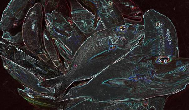 Jika Parang Tak Tergenggam Dayung Tak Boleh Kering