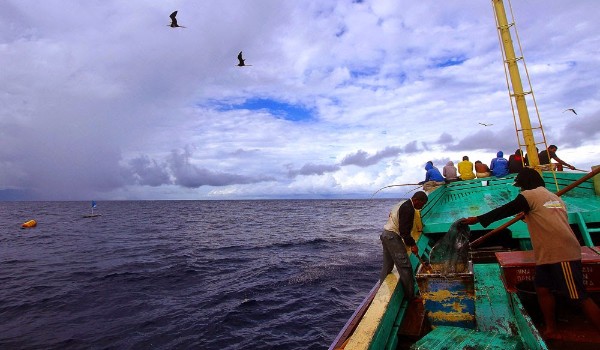 Nyala Spirit Grecele 